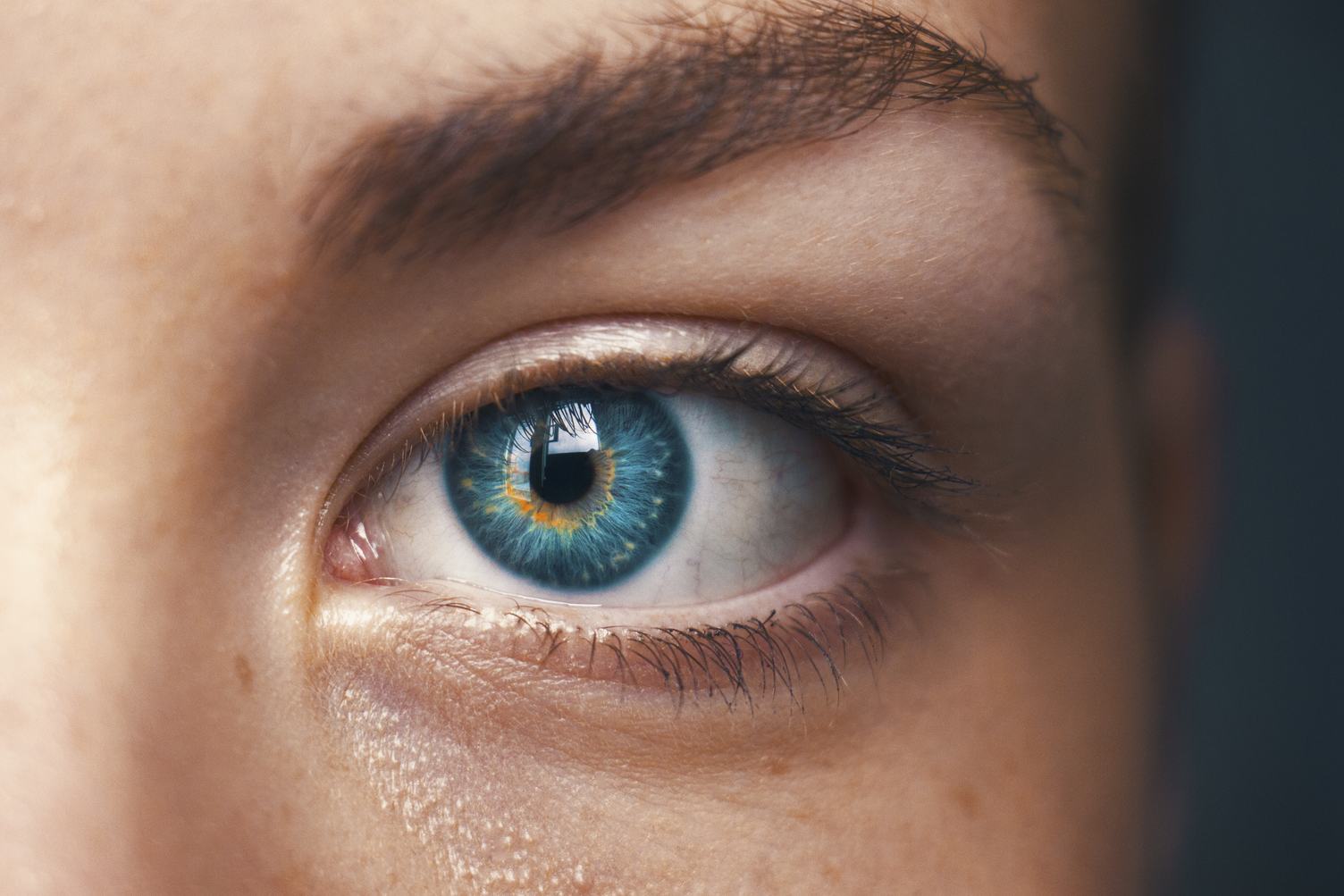 Close up of a Blue Human Eye