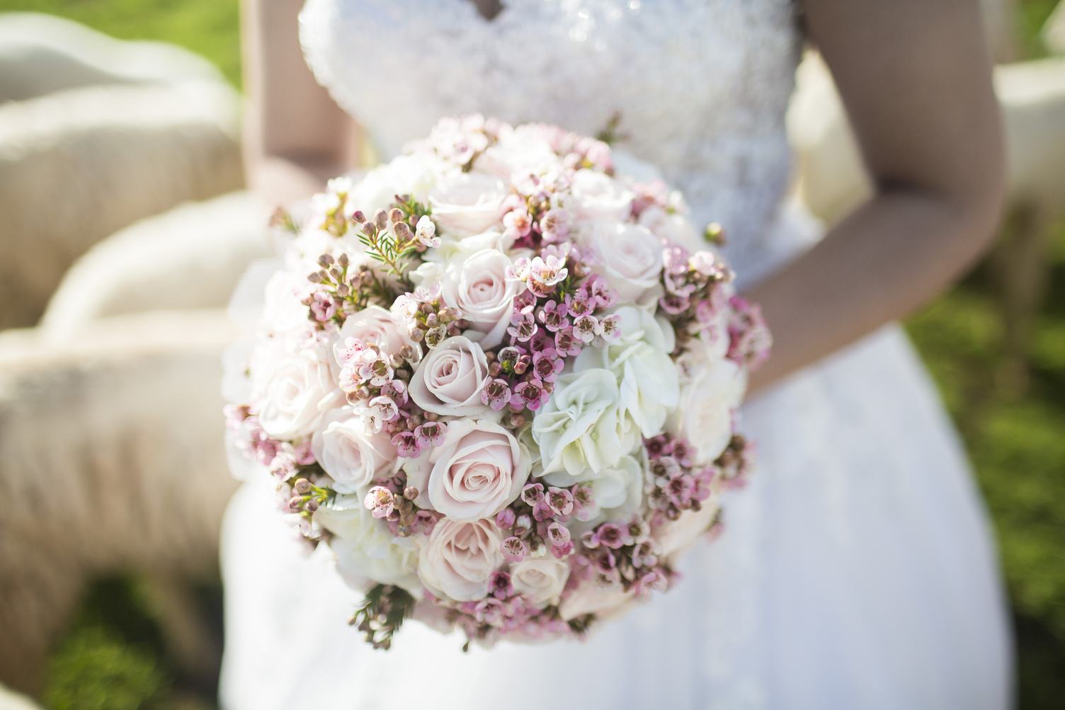 Beautiful Wedding Bouquet in Bride's Hands