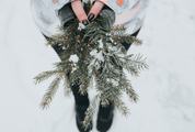 Spruce Brunch in Female Hands During Winter
