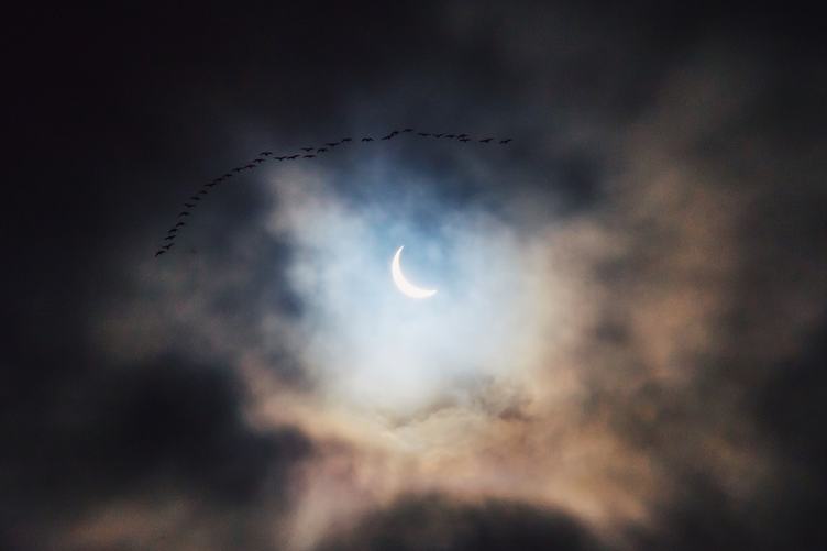 Night Sky with Moon, Clouds and Flock of Flying Birds