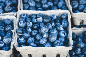 Blueberries in Carton Boxes