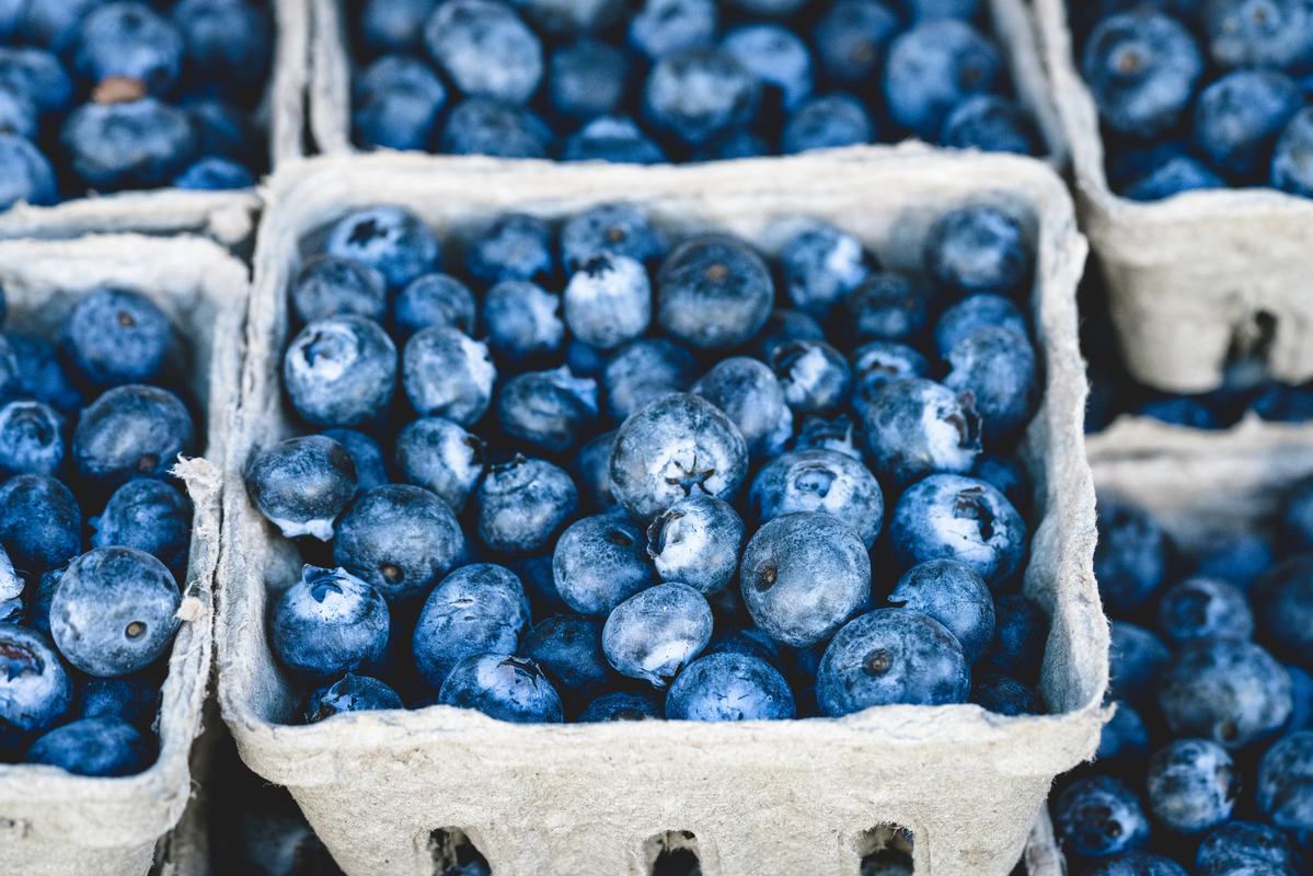 Free Photo: Blueberries in Carton Boxes