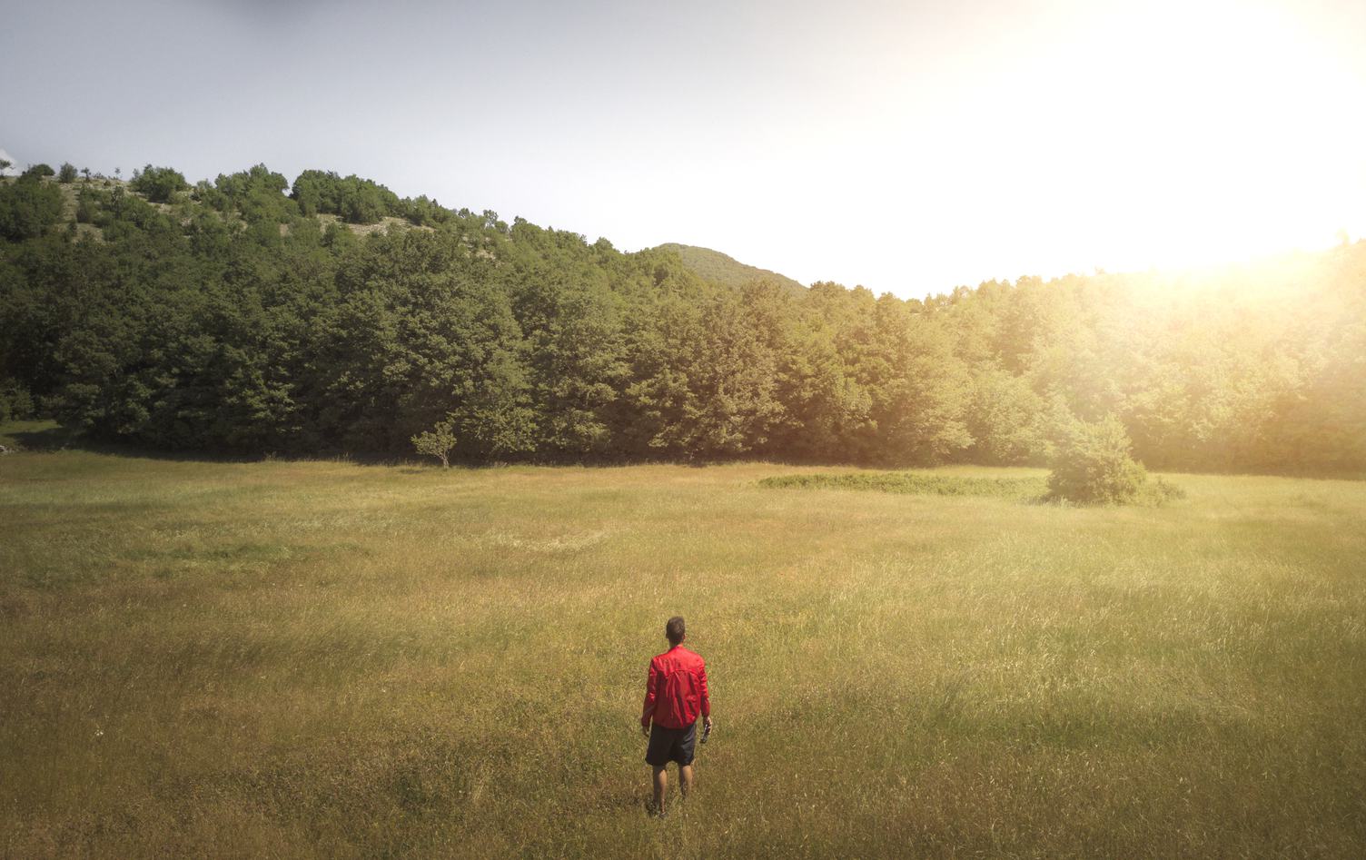 Man Wearing red Jacket in Green Meadow