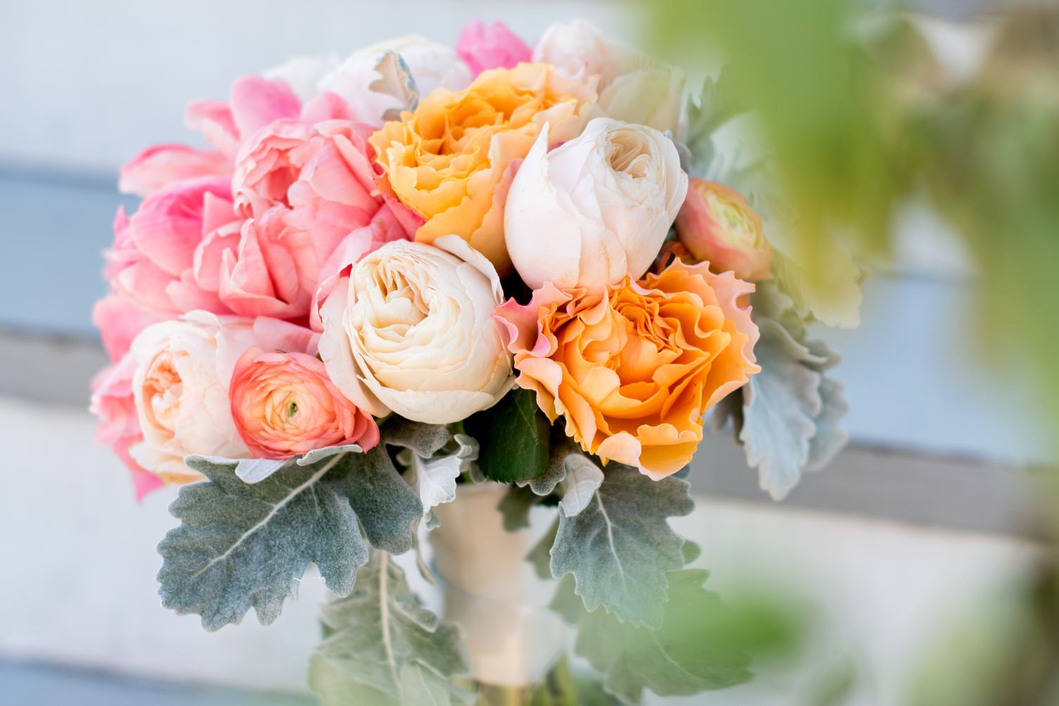 Beautiful Fresh Pink and Orange Roses