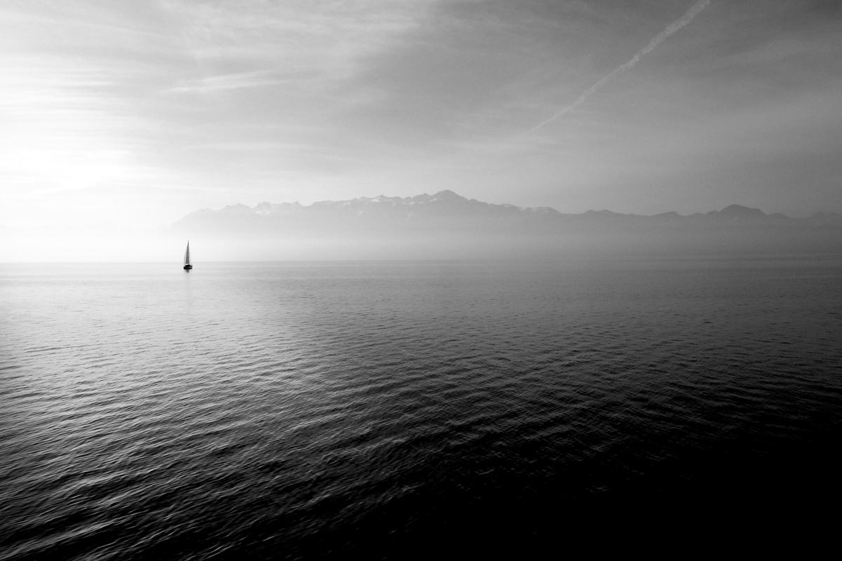 Free Photo: Sailboat in a Calm Sea Black and White Photo
