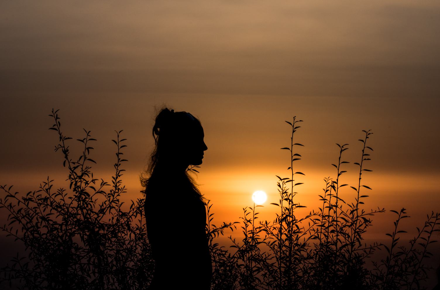 Silhouette of Woman among Plants at Sunset