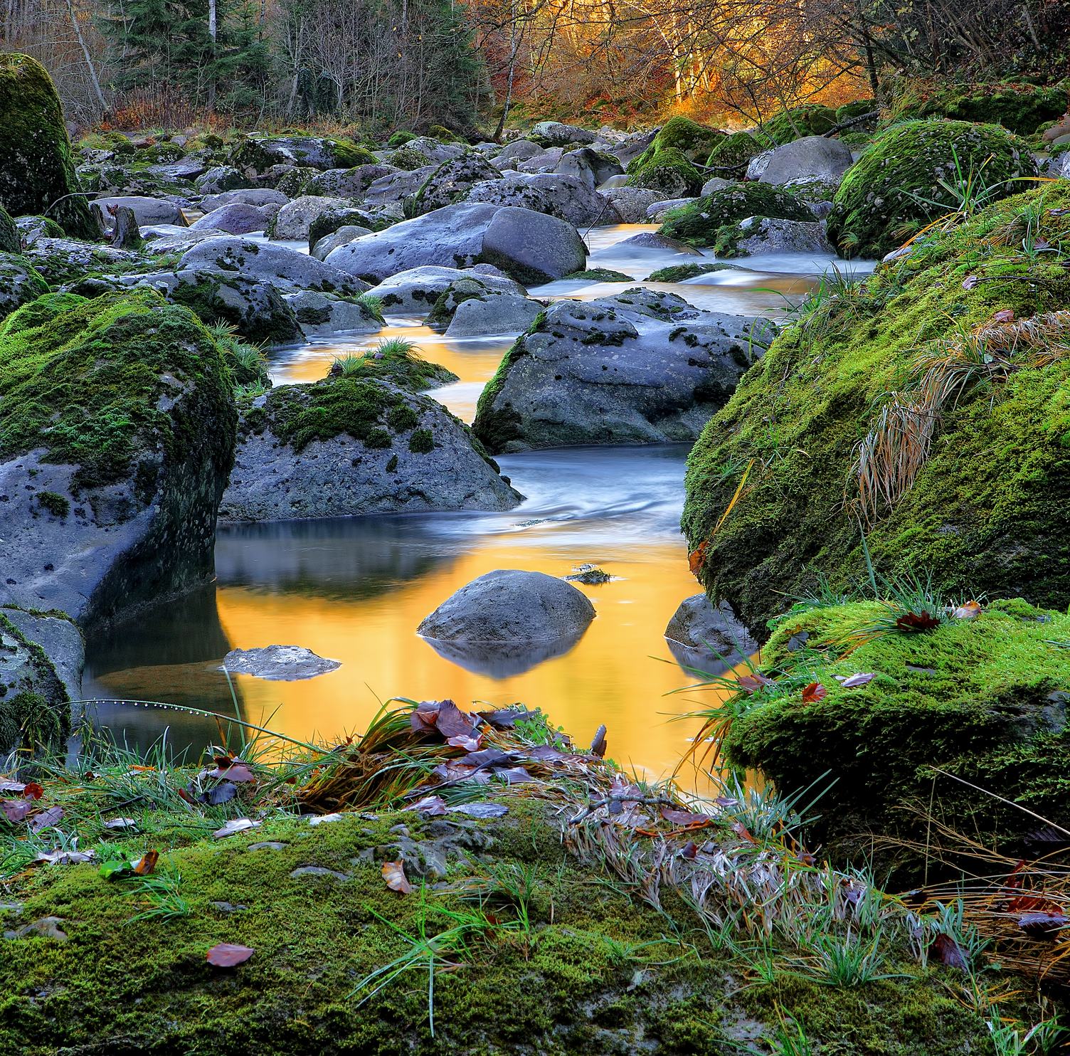 River Flow amongst Stone