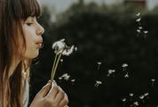 Closeup of Young Attractive Woman Blows Dandelions