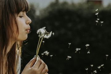 Closeup of Young Attractive Woman Blows Dandelions