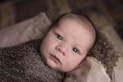Cute Newborn Baby Wrapped in Brown Knitted Blanket