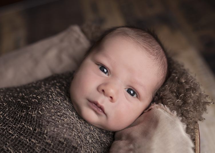 Cute Newborn Baby Wrapped in Brown Knitted Blanket
