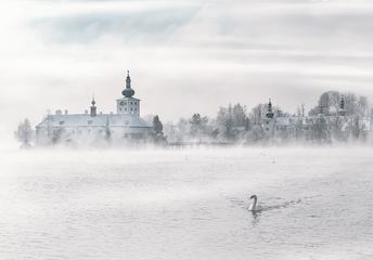 Winter Fog Landscape with Swan, Gmunden Austria