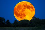 Closeup of Orange Moon