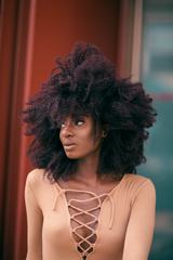 African American Woman with Afro Hairstyle