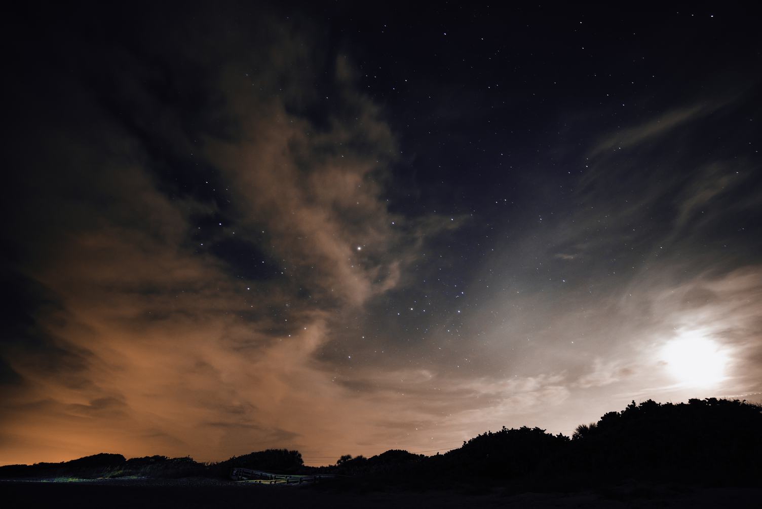Starry Sky over Trees