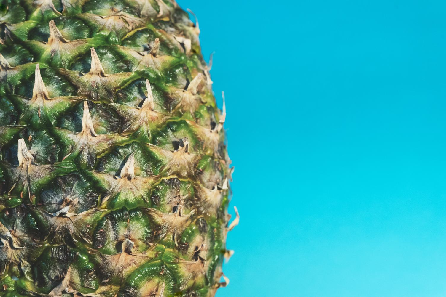 Pineapple Skin Closeup against Blue Wall