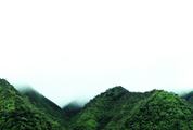 Hills in the Fog, Manoa Valley, Oahu, Hawaii