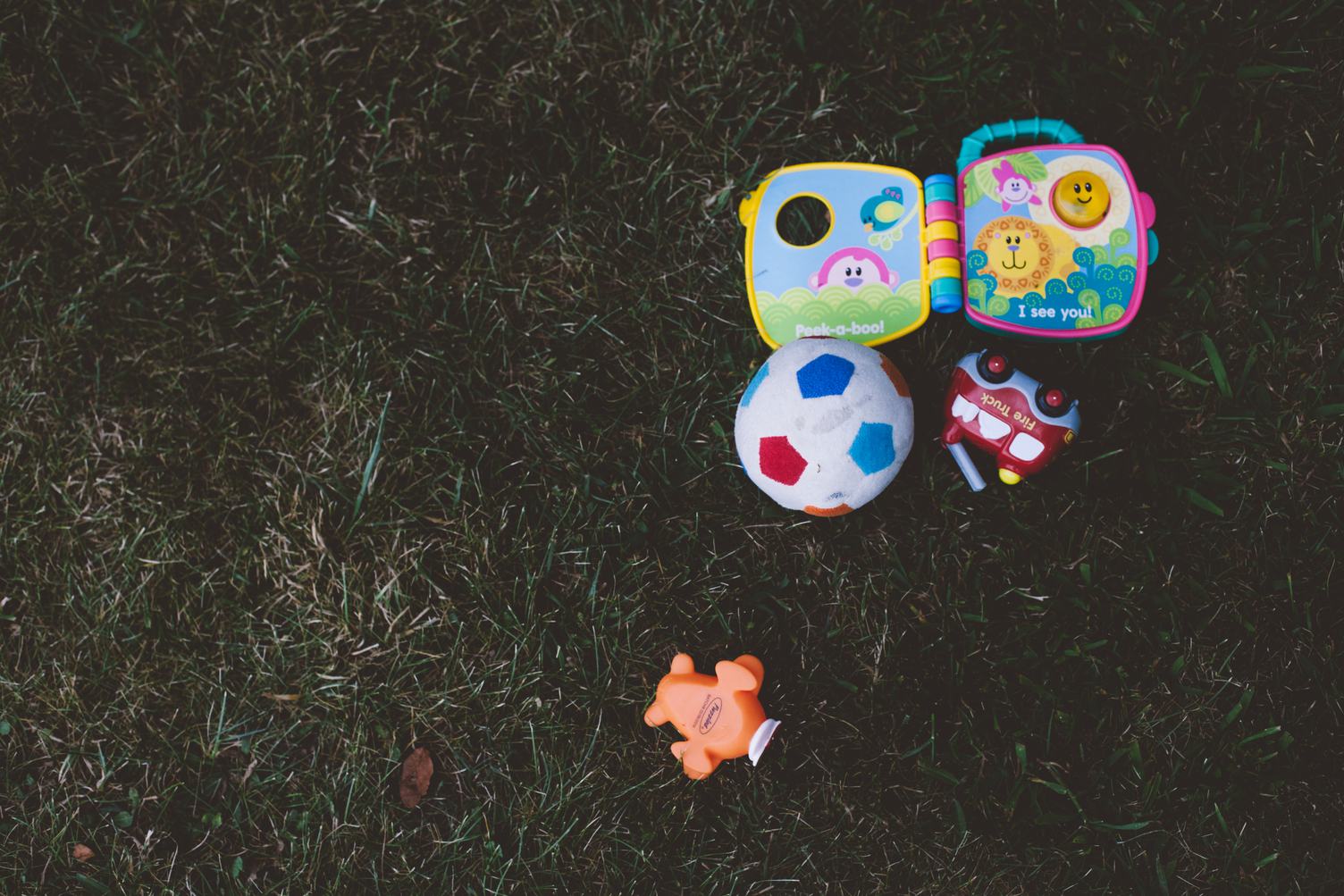 Toys on Grass Top View