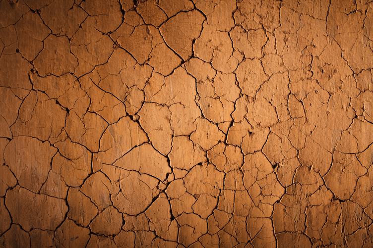 Cracks of the Dried Soil in Arid Season