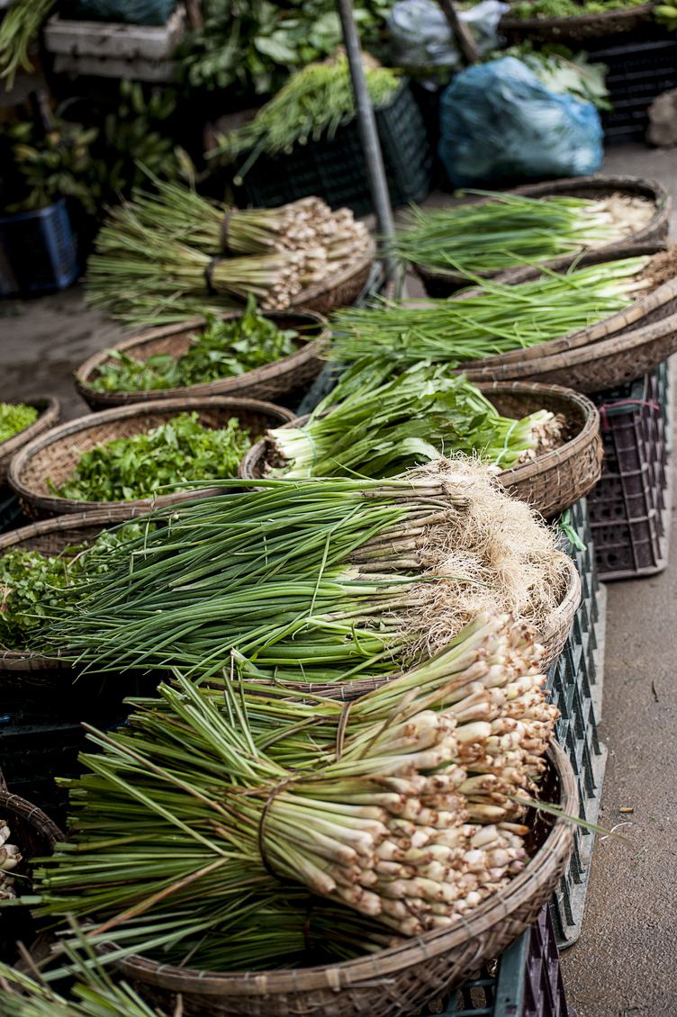 Spring Onions and Fresh Herbs on Market in Vietnam