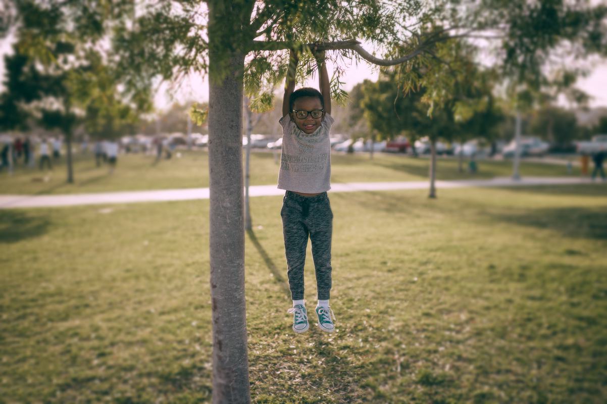 Free Photo Little Boy Hanging on a Tree