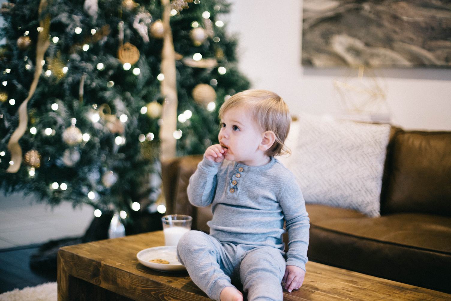 Child Boy Eating Cookies Indoors