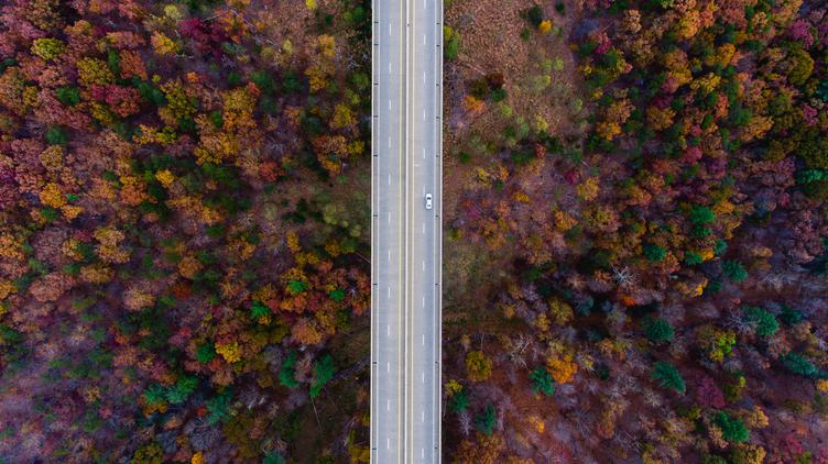 Road in the Middle of Autumn Forest Aerial View