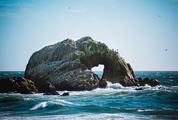 Rocky Island of Birds