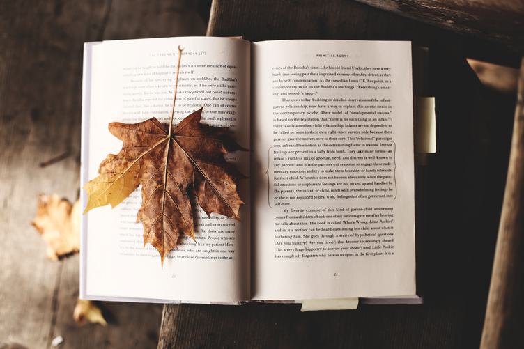 Open Book with Maple Dry Leaf