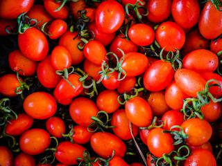 Small Red Tomatoes