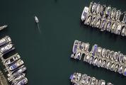 Top View of Boats in Marina