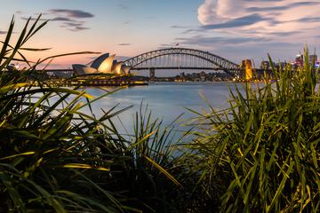 Sydney Harbour with Opera House and Bridge in the Evening