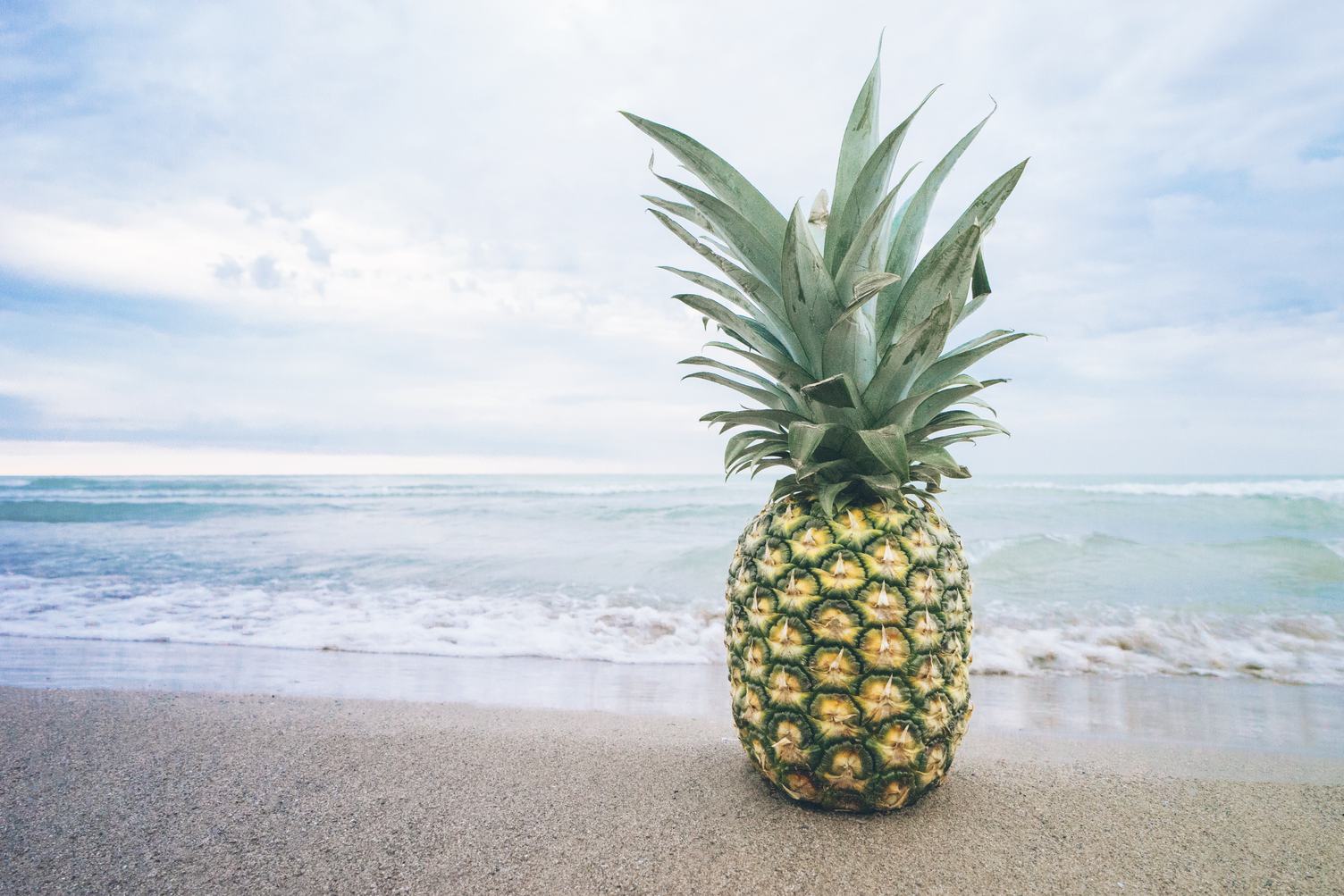Pineapple on the Beach