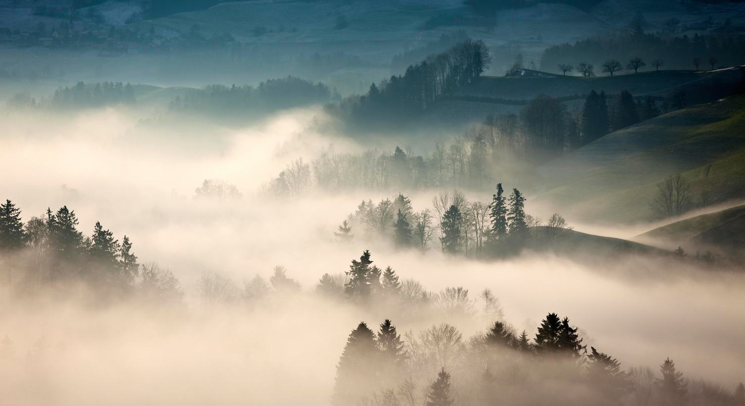 Autumn Misty Countryside Landscape