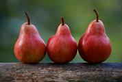 Three Ripe Red Pears