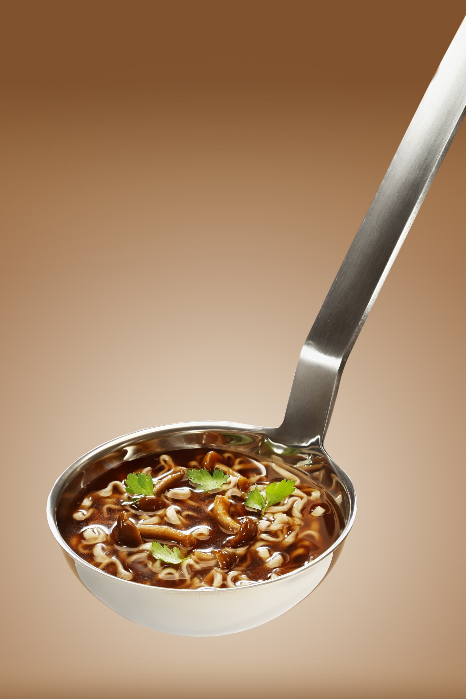 Mushroom Soup with Noodles
