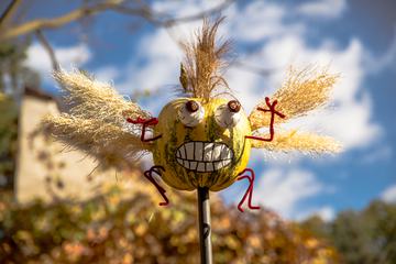 Funny Pumpkin Creature with Wings