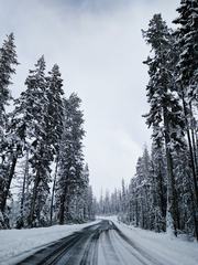 Winter Road Landscape
