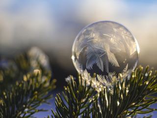 Frozen Bubble at Sunset on a Twig