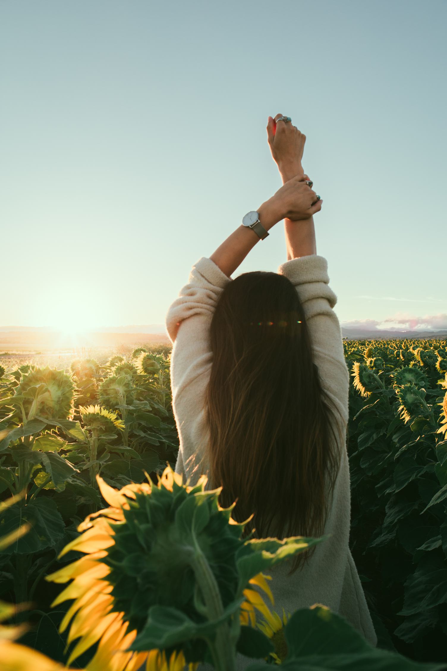 Woman Standing in the Field of Sunflowers, Back View