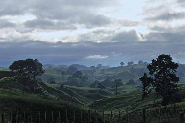 Green Hills, Matamata, New Zealand