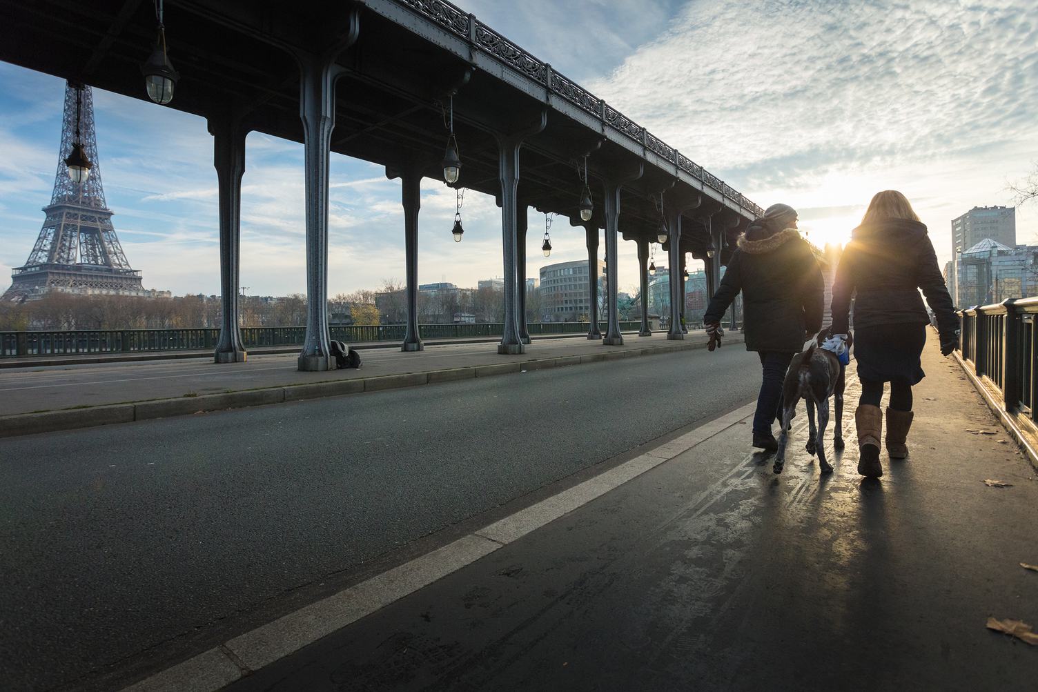 Eiffel Tower and Bir Hakeim Bridge in Paris, Couple Walking with Dog