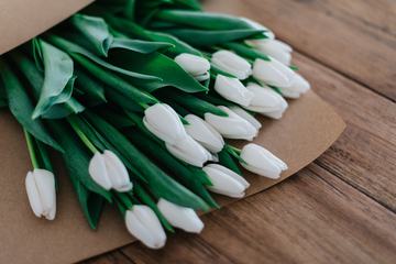White Tulips on Wooden Table