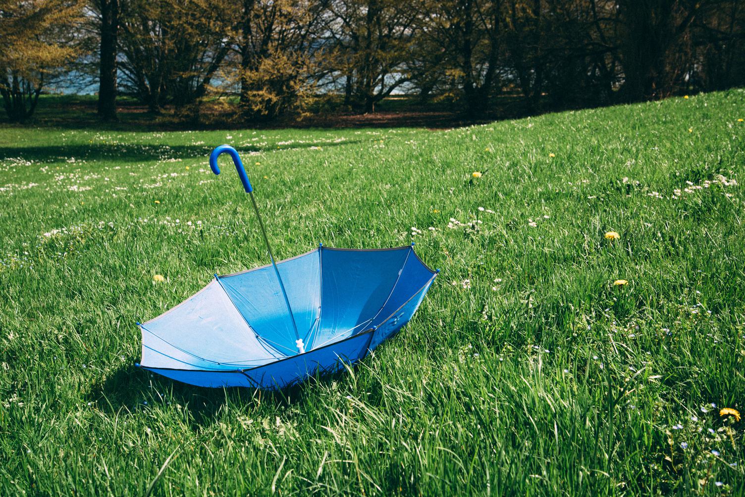 Blue Umbrella on the Grass