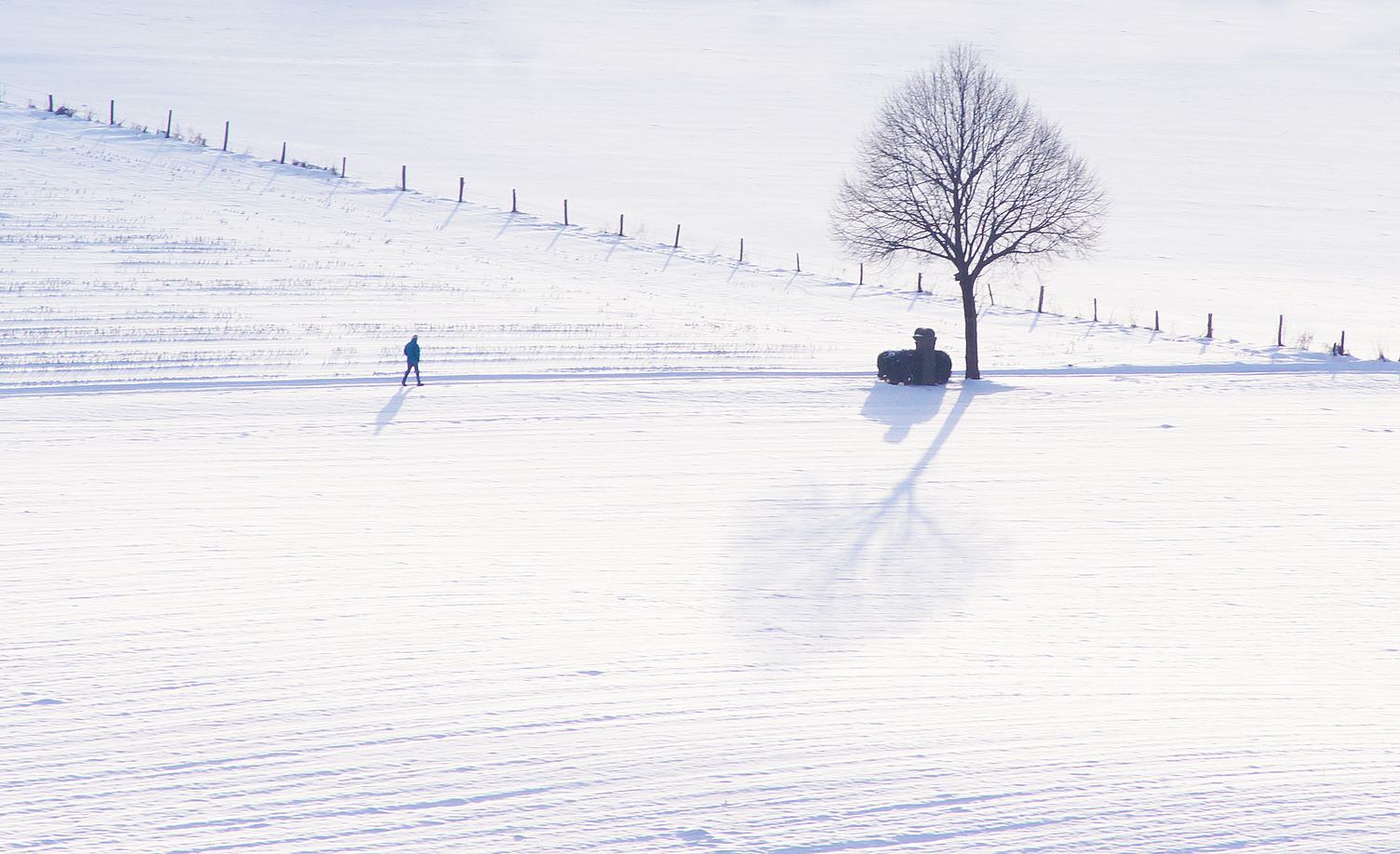 Winter Field Landsape with Tree and Walking Man