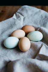 Eggs on Linen Fabric