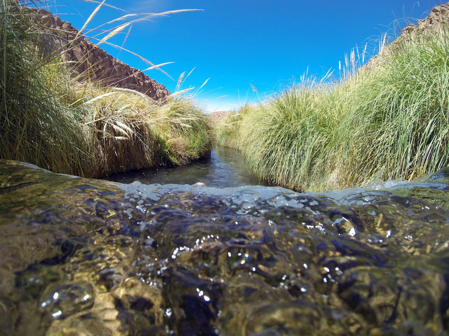 Rivulet Landscape