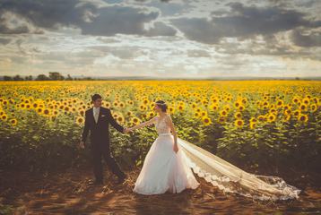 Bride and Groom against Sunflowers Field