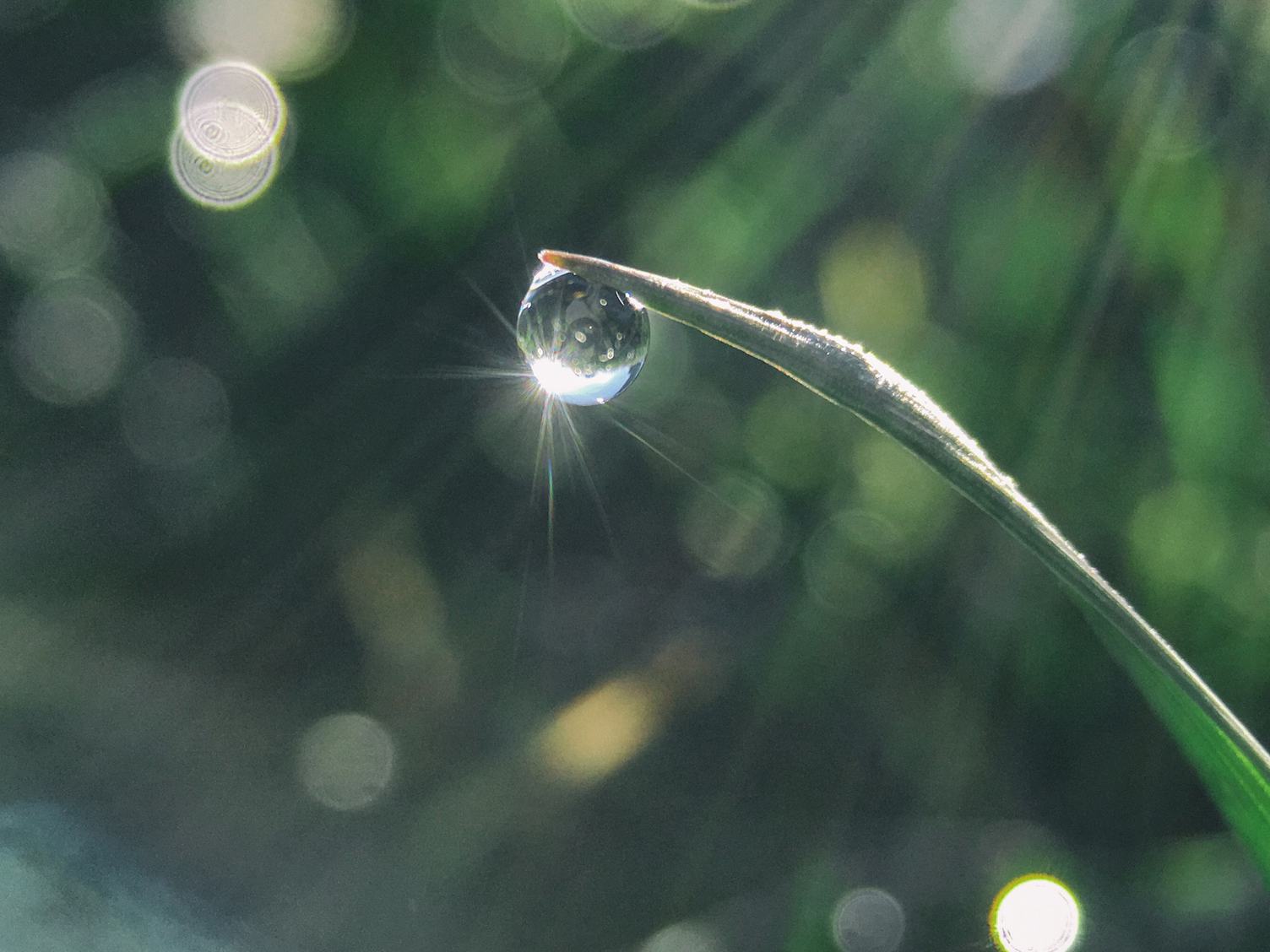 Water Drop Shine in Sun Light
