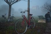 Two Bikes in the Fog